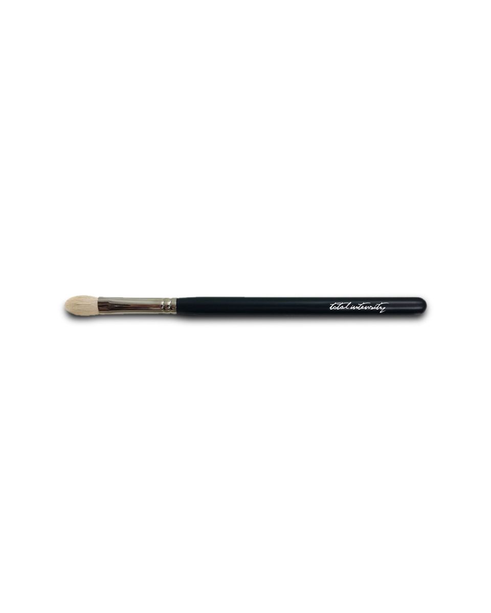 Eyeshadow and concealer brush